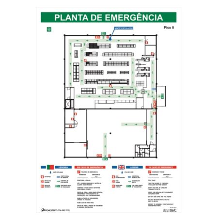 Planta Emergência 2